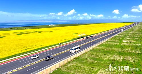 新增超1000公里 青海高速公路內(nèi)暢外聯(lián)再升級(jí)